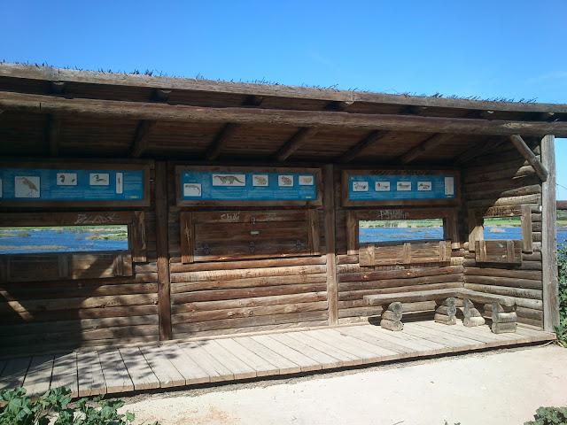 Pasando una tarde en el Embalse del Vicario en Ciudad Real Pasando una tarde en el Embalse del Vicario en Ciudad Real