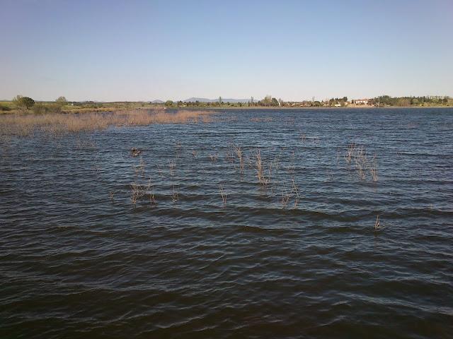 Pasando una tarde en el Embalse del Vicario en Ciudad Real Pasando una tarde en el Embalse del Vicario en Ciudad Real