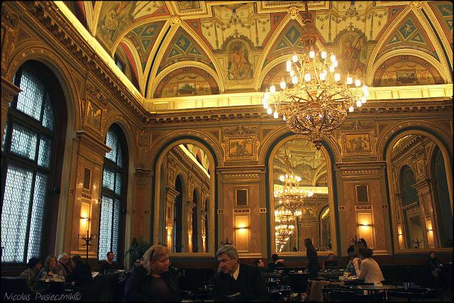 Alexandra Book-café: la Sixtina del capucchino