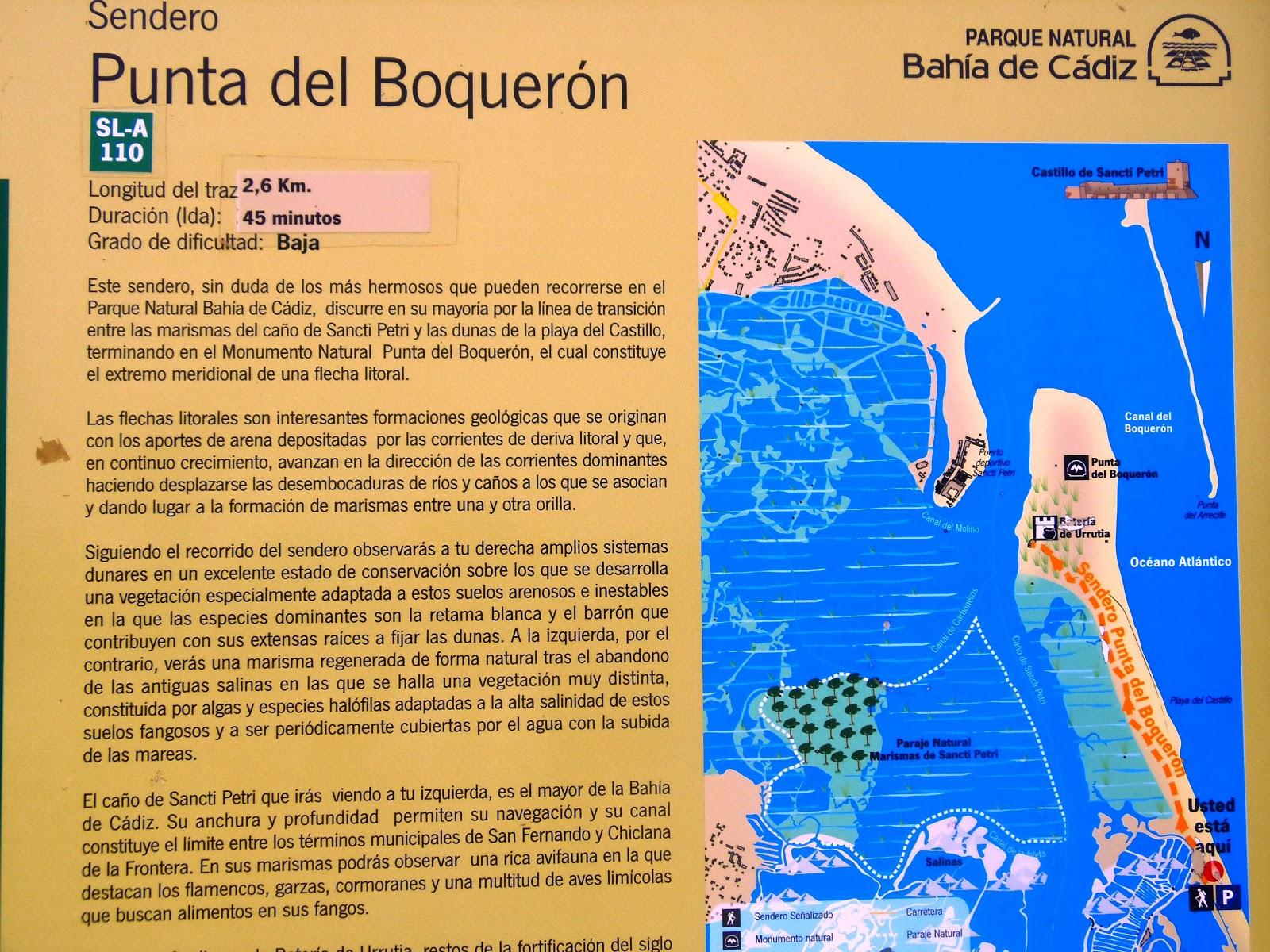 La punta del Boquerón, un paraiso aún virgen en mi tierra...La Isla del Sur....