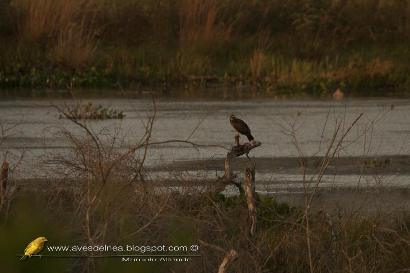 Postales de la desembocadura del Arroyo Apepú Postales de la desembocadura del Arroyo Apepú