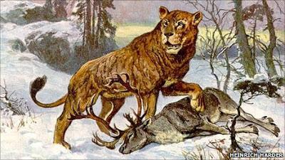 ¿Y qué debo saber antes de jugar a