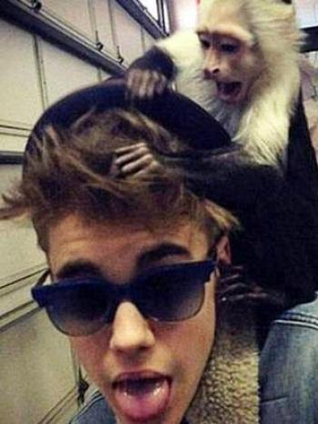 Justin Bieber abandonó a su mono en Alemania Justin Bieber abandonó a su mono en Alemania