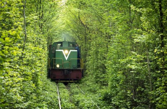 tunel del amor con tren foto spots