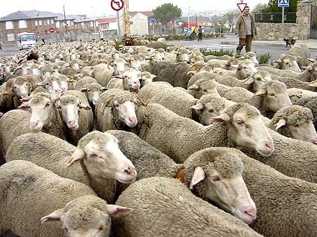 NEOGENOCIDAS NEOGENOCIDAS