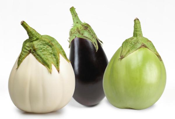 eggplant1
