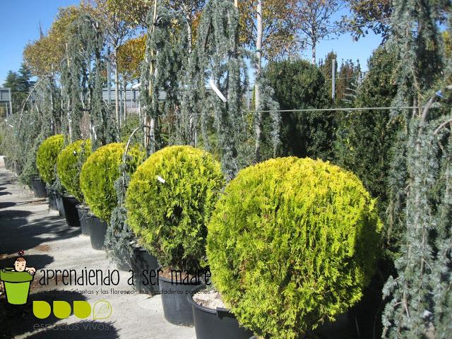 Juego sensorial en el vivero Juego sensorial en el vivero