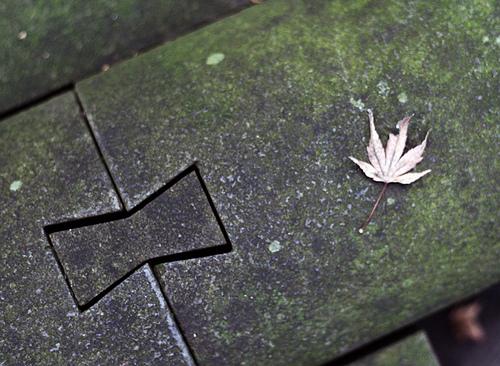 Meigetsuin, el templo de la luna de cosecha Kamakura Mengetsuin
