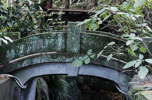 Meigetsuin, el templo de la luna de cosecha Kamakura Mengetsuin