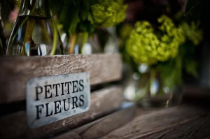 The Big Day The Big Day