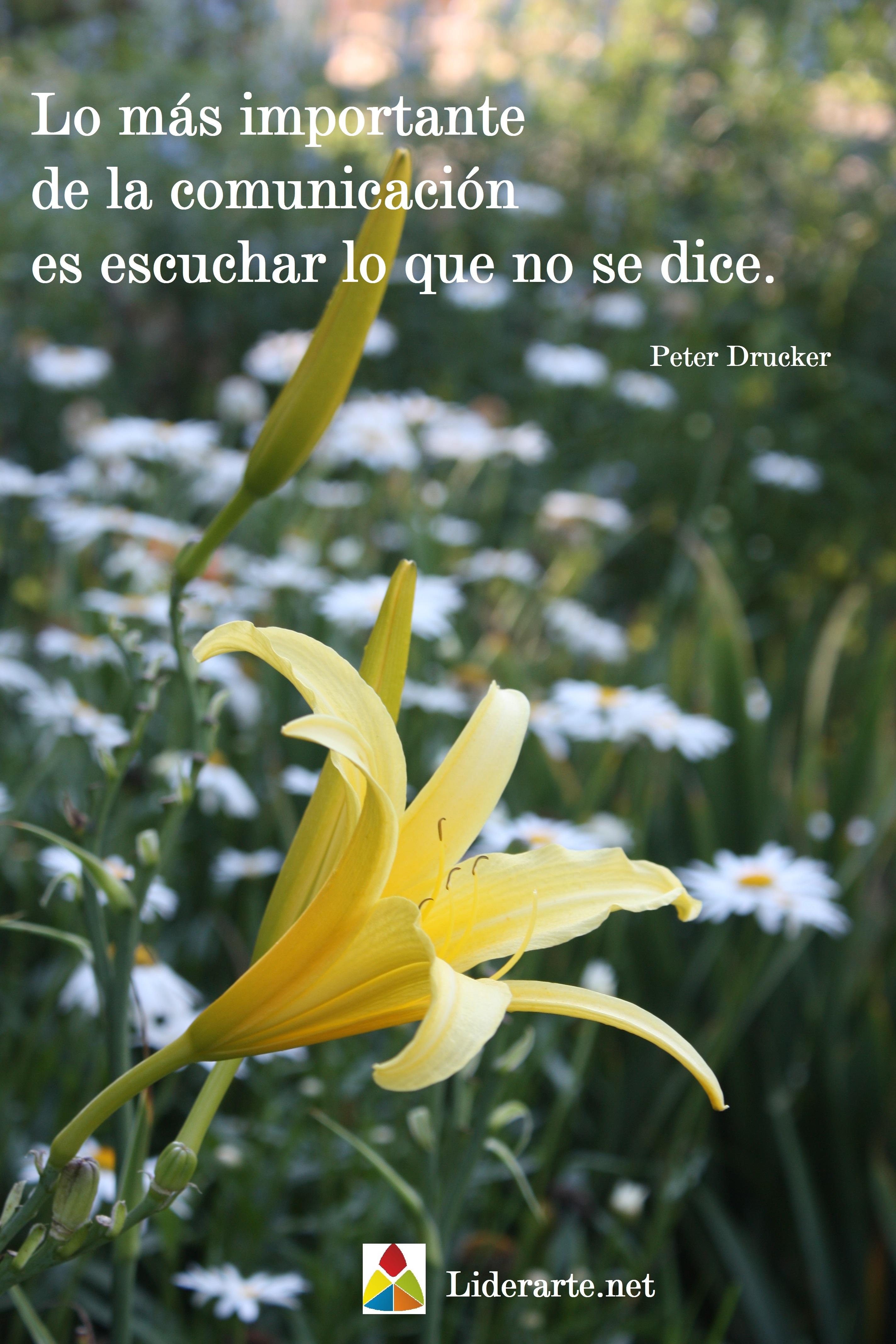 Escuchar lo que no se dice Comunicación_Peter Drucker