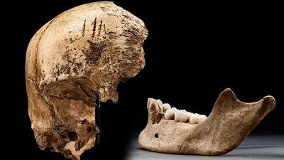 LOS PRIMEROS COLONOS PRACTICARON EL CANIBALISMO PARA SOBREVIVIR LOS PRIMEROS COLONOS PRACTICARON EL CANIBALISMO PARA SOBREVIVIR