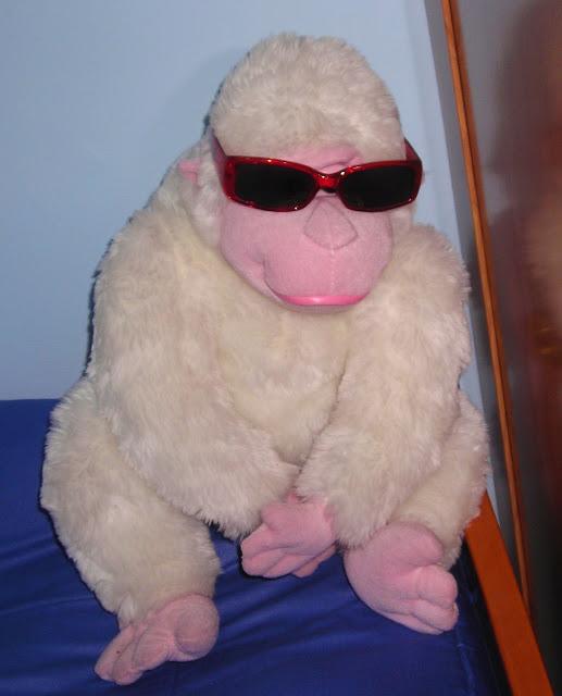 ¡ Votaciones gafas blogueras ! ¡ Votaciones gafas blogueras !