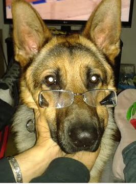 ¡ Votaciones gafas blogueras ! ¡ Votaciones gafas blogueras !