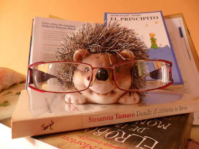 ¡ Votaciones gafas blogueras ! ¡ Votaciones gafas blogueras !