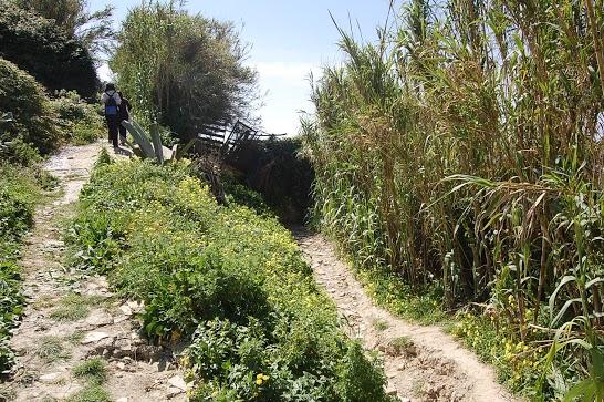 Viaje a Tarifa 2010 Viaje a Tarifa 2010
