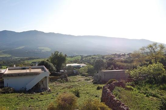 Viaje a Tarifa 2010 Viaje a Tarifa 2010