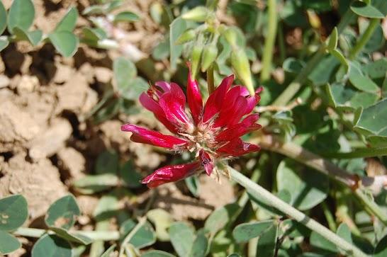 Viaje a Tarifa 2010 Viaje a Tarifa 2010