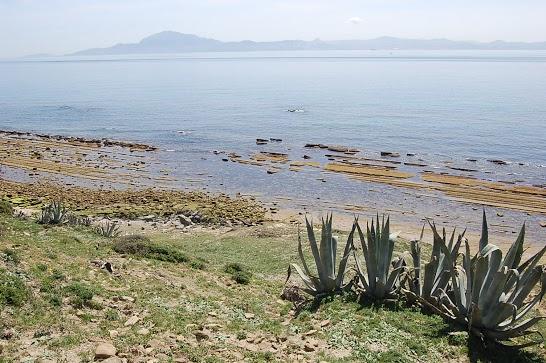 Viaje a Tarifa 2010 Viaje a Tarifa 2010