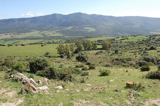 Viaje a Tarifa 2010 Viaje a Tarifa 2010