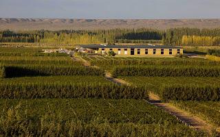 Bodega del fin del mundo un oasis del desierto