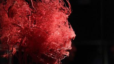 MICROPARTÍCULA PERMITE AL HOMBRE VIVIR SIN OXÍGENO MICROPARTÍCULA PERMITE AL HOMBRE VIVIR SIN OXÍGENO