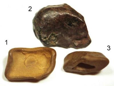 EVENTO DE TUNGUSKA: NUEVAS PRUEBAS DE UN METEORITO EVENTO DE TUNGUSKA: NUEVAS PRUEBAS DE UN METEORITO