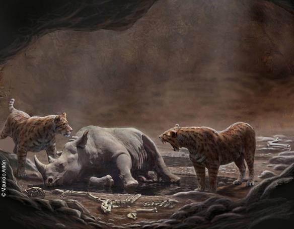 Un sistema que atrapo Carnivoros hace 9 millones de Años Un sistema que atrapo Carnivoros hace 9 millones de Años