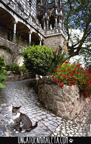 Sintra, un lugar magico en Portugal