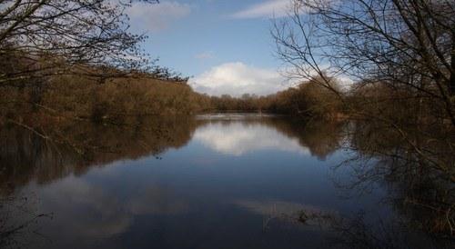 Laguna de Cospeito