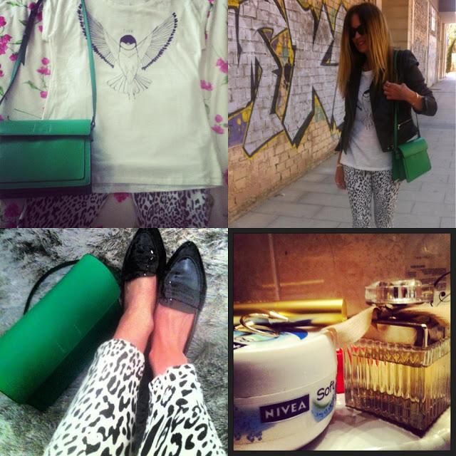 Insta Momentos Sdiosas I Insta Momentos Sdiosas I