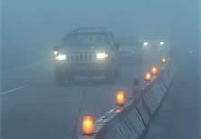 ¿QUE ES LA VIDA? ¿QUE ES LA VIDA?