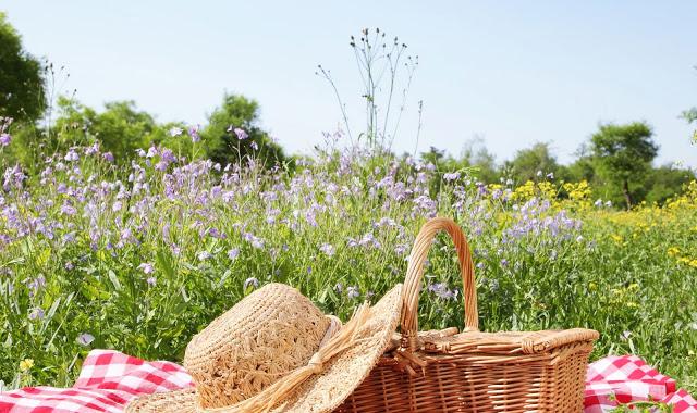 Romantic Picnic