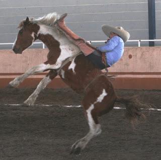 Camino Real 360 en la Primera Final de la Copa Nayarita Camino Real 360 en la Primera Final de la Copa Nayarita