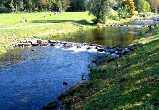 10 cosas… que hacer en Freiburg (I) photo dreisam-rio-freiburg_zpsc9c20977.jpg