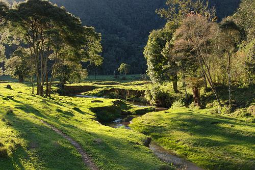 Parque Nacional da Serra do Itajaí