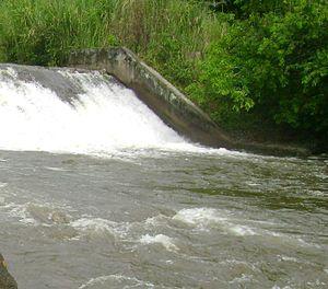 Español: Agua, elemento vital para la vida.