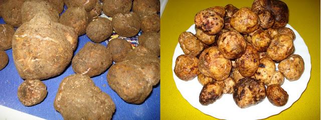 CRIADILLAS DE TIERRA GUISADAS CRIADILLAS DE TIERRA GUISADAS