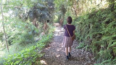 Paseo por el río olvidado de Shingashi Paseo por el río olvidado de Shingashi