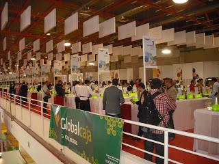 Fenavín 2013, Feria Nacional del Vino de Ciudad Real (España). Fenavín 2013, Feria Nacional del Vino de Ciudad Real (España).