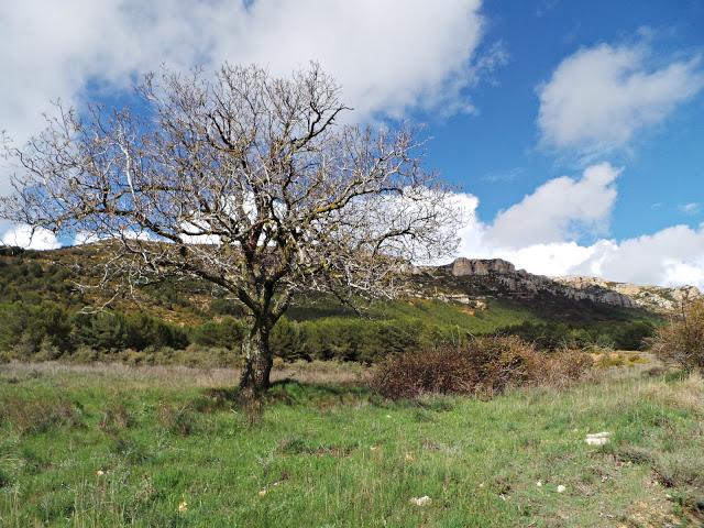 Monasterio de Les Avellanes, a los pies del Montsec Monasterio de Les Avellanes, a los pies del Montsec