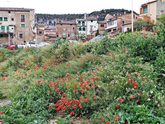 Monasterio de Les Avellanes, a los pies del Montsec Monasterio de Les Avellanes, a los pies del Montsec
