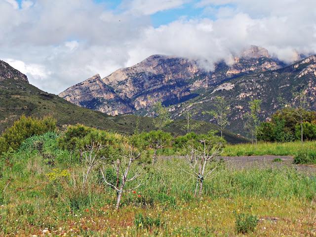Monasterio de Les Avellanes, a los pies del Montsec Monasterio de Les Avellanes, a los pies del Montsec