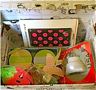 Kit de supervivencia de una Au Pair Kit de supervivencia de una Au Pair