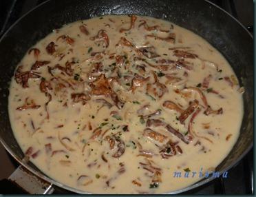 virutas en salsa de setas8 copia virutas en salsa de setas8 copia