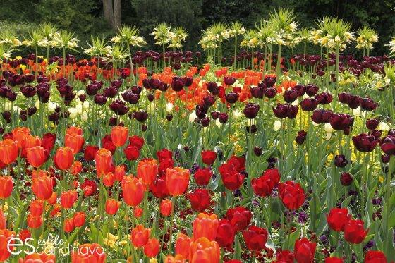 Mainau, La isla de las flores isla-de-las-flores21