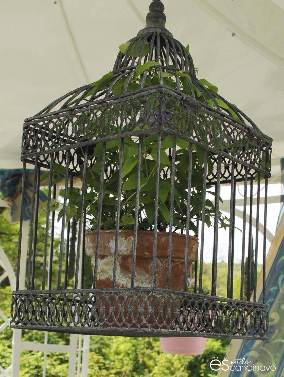 Mainau, La isla de las flores isla-de-las-flores18