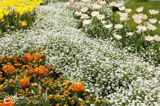 Mainau, La isla de las flores isla-de-las-flores08