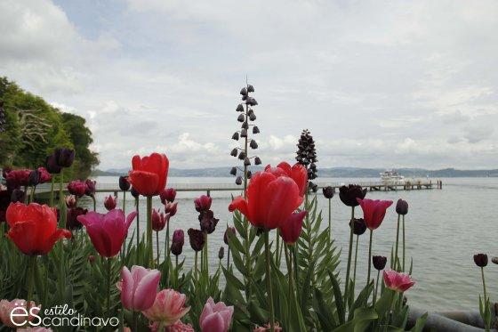 Mainau, La isla de las flores isla-de-las-flores19