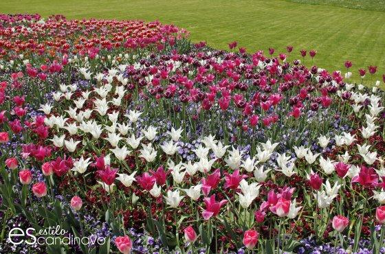 Mainau, La isla de las flores isla-de-las-flores10